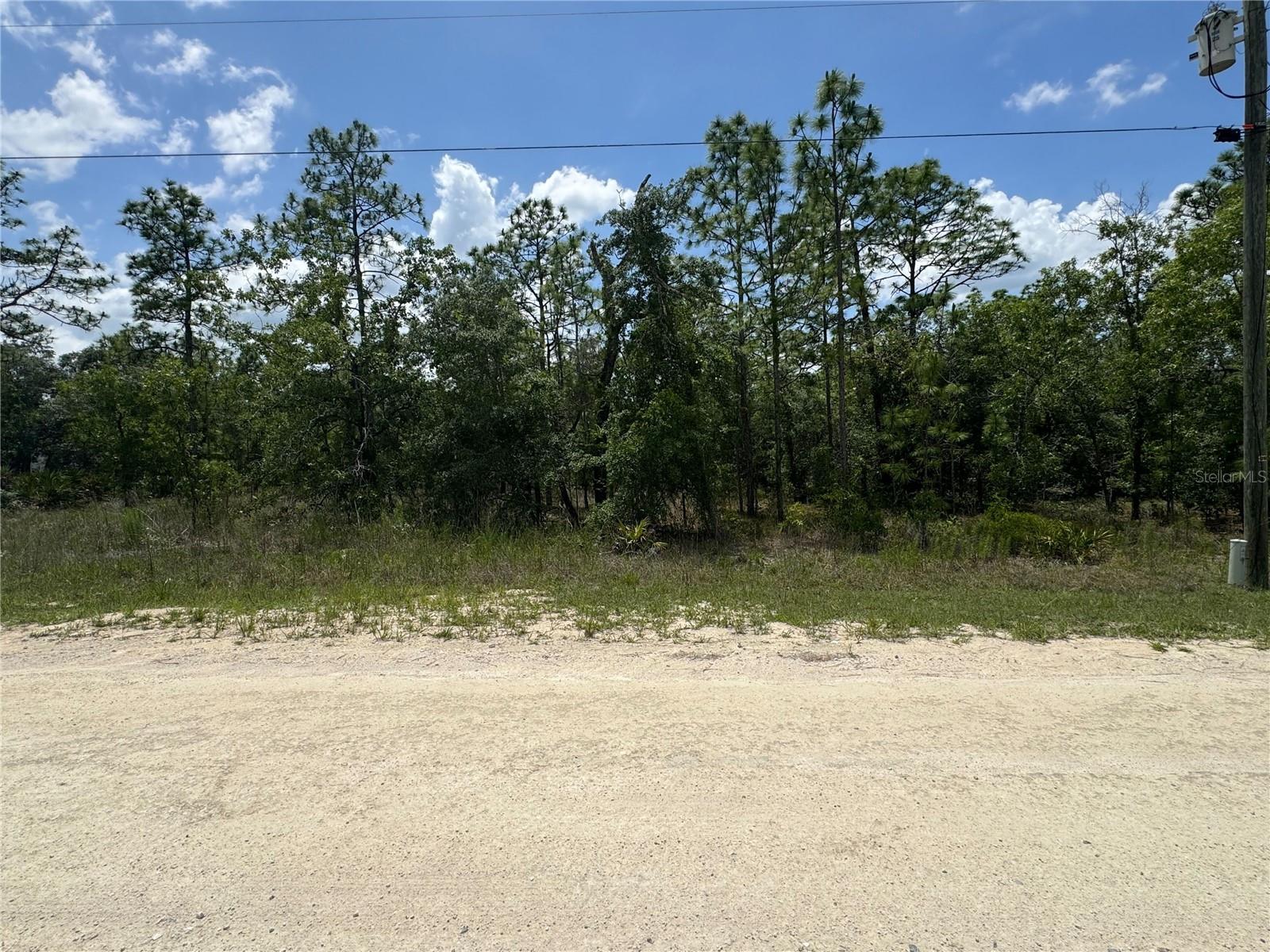 0 SCAUP DUCK AVENUE