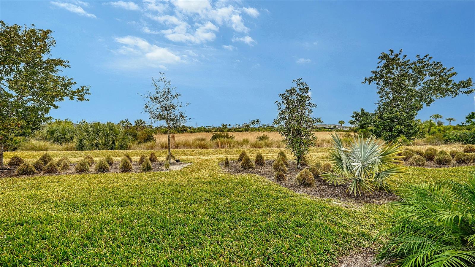 TALON PRESERVE PH 1A 1B & 1C - Residential