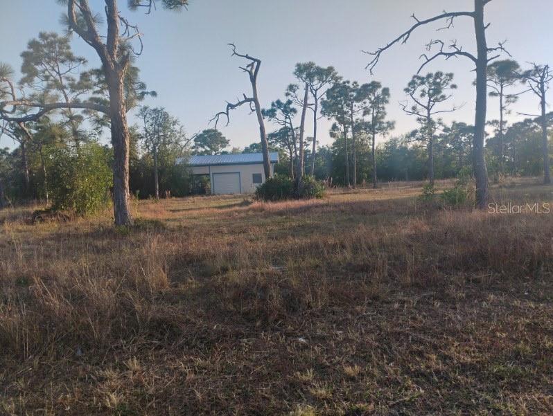 ACREAGE & UNREC - Land