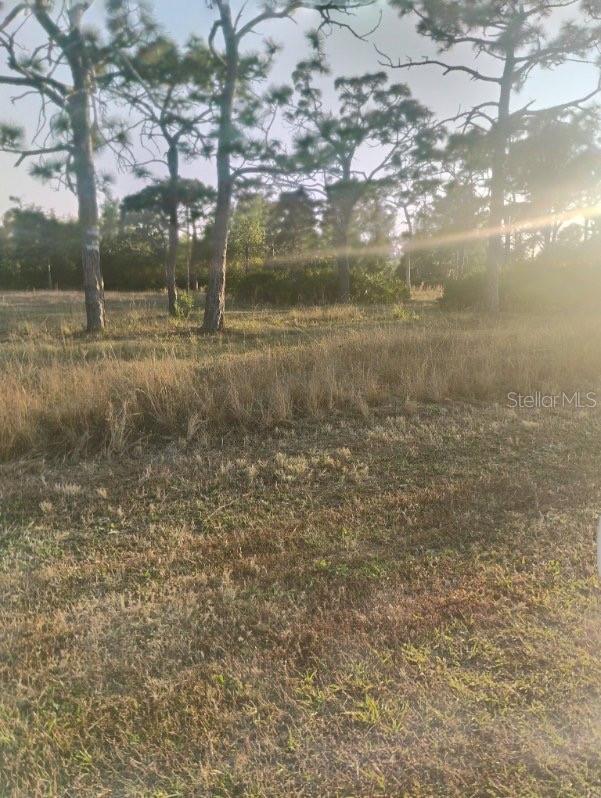 ACREAGE & UNREC - Land