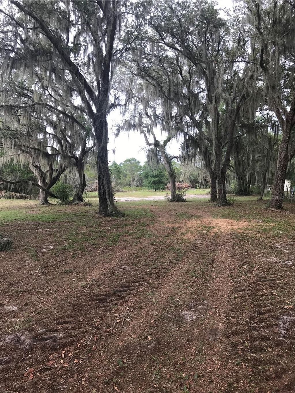 Photo of 0 80 Foot Road, Bartow, FL 33830 (MLS # B4902065)