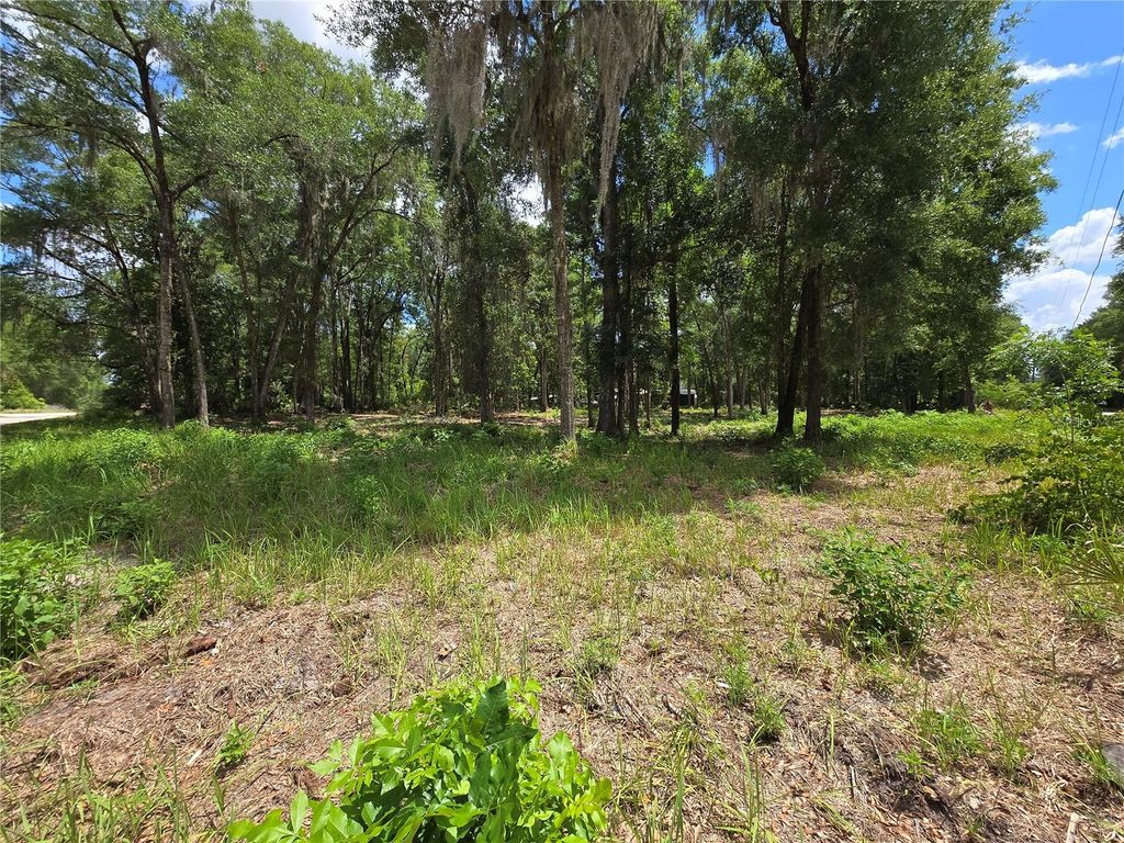 Photo of 0 SW 15th Place, Ocala, FL 34481 (MLS # S5149237)