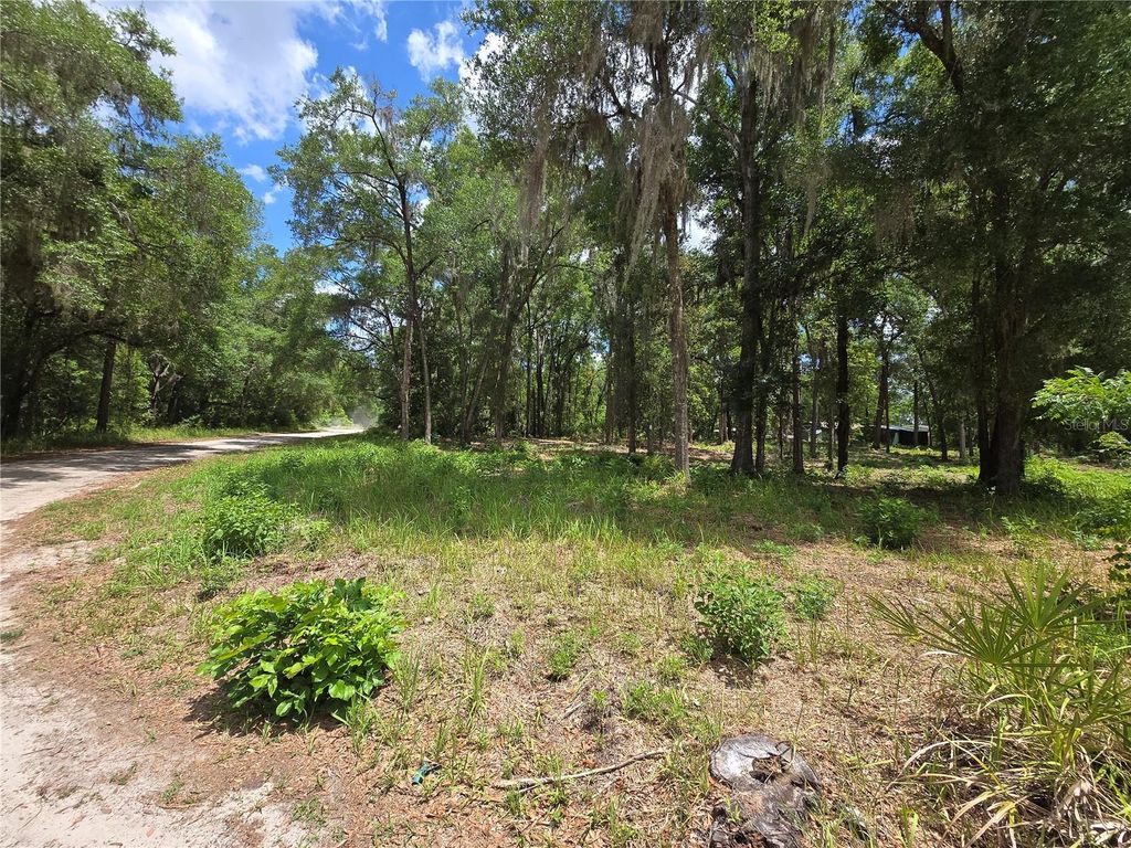 Photo of 0 SW 15th Place, Ocala, FL 34481 (MLS # S5149237)