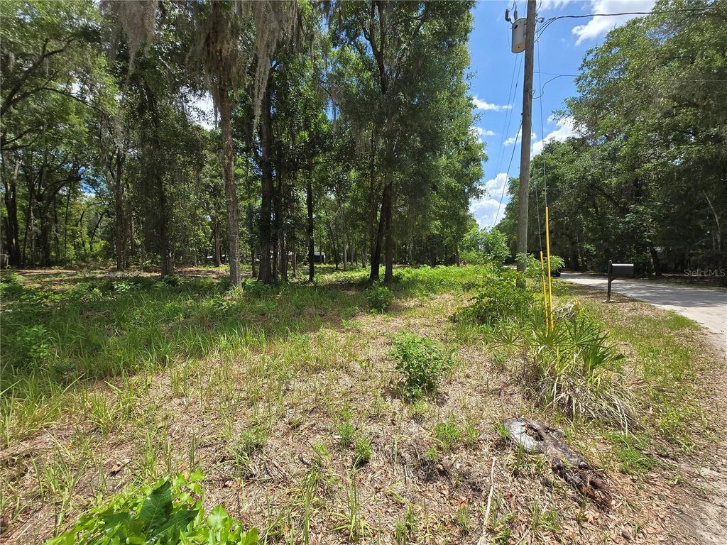 Photo of 0 SW 15th Place, Ocala, FL 34481 (MLS # S5149237)