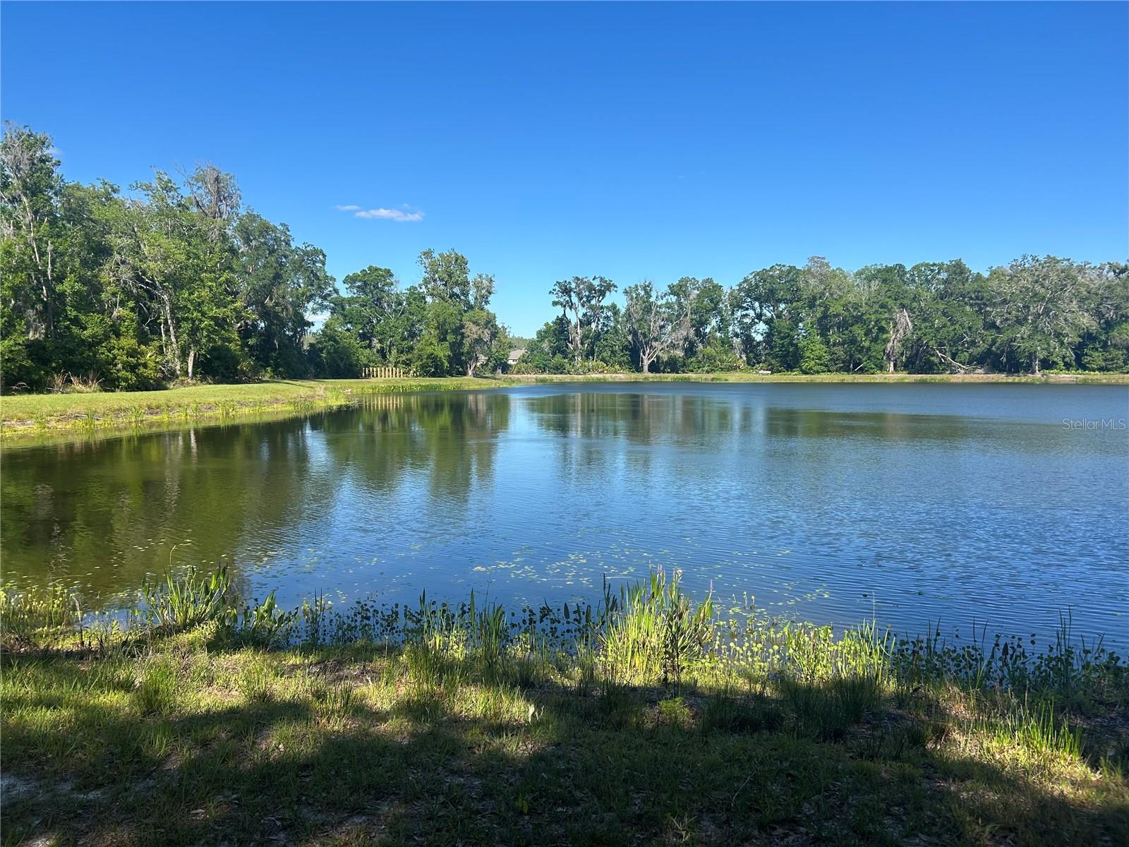 CYPRESS PRESERVE PH 3C - Residential