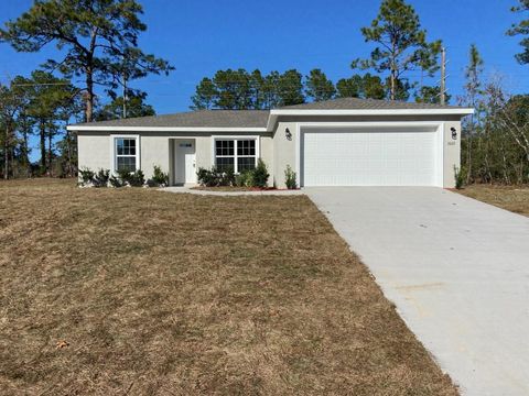 A home in DUNNELLON