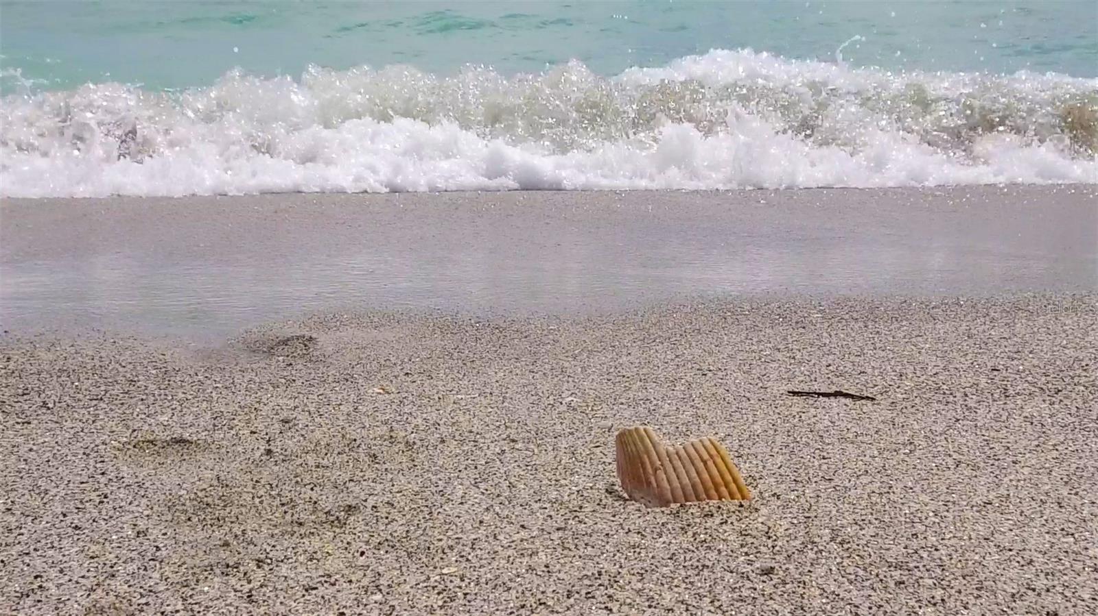 LEMON BAY ISLES PH 03 - Residential