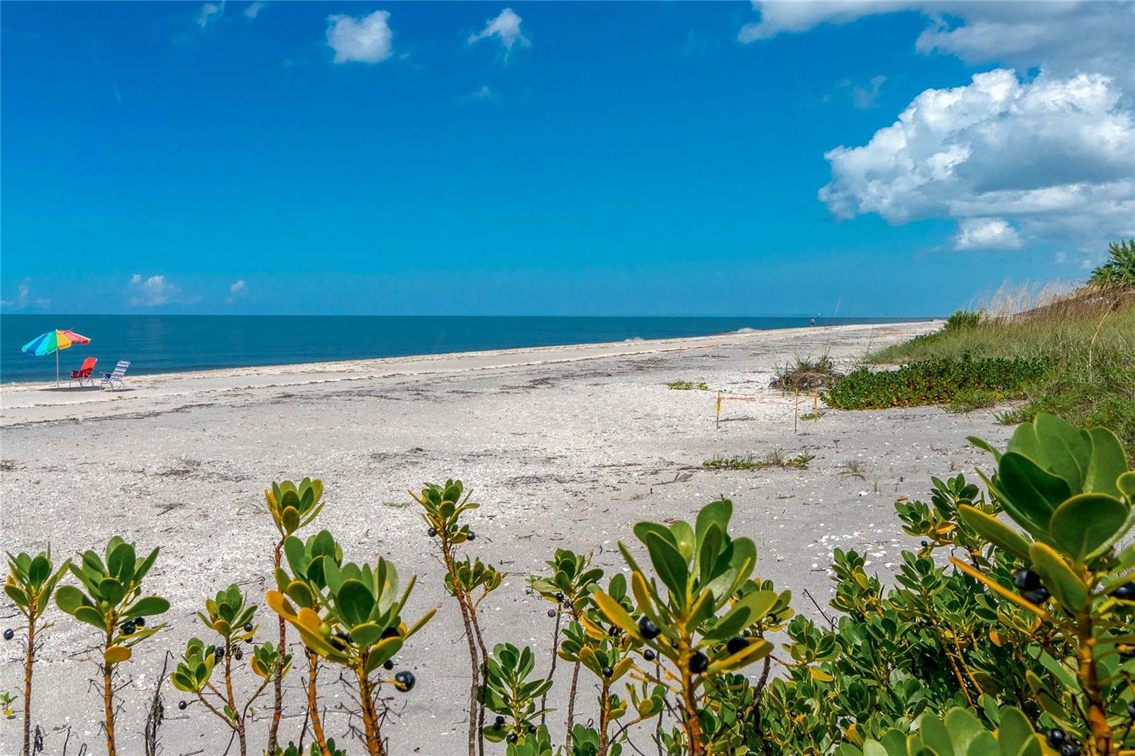 LEMON BAY ISLES PH 03 - Residential