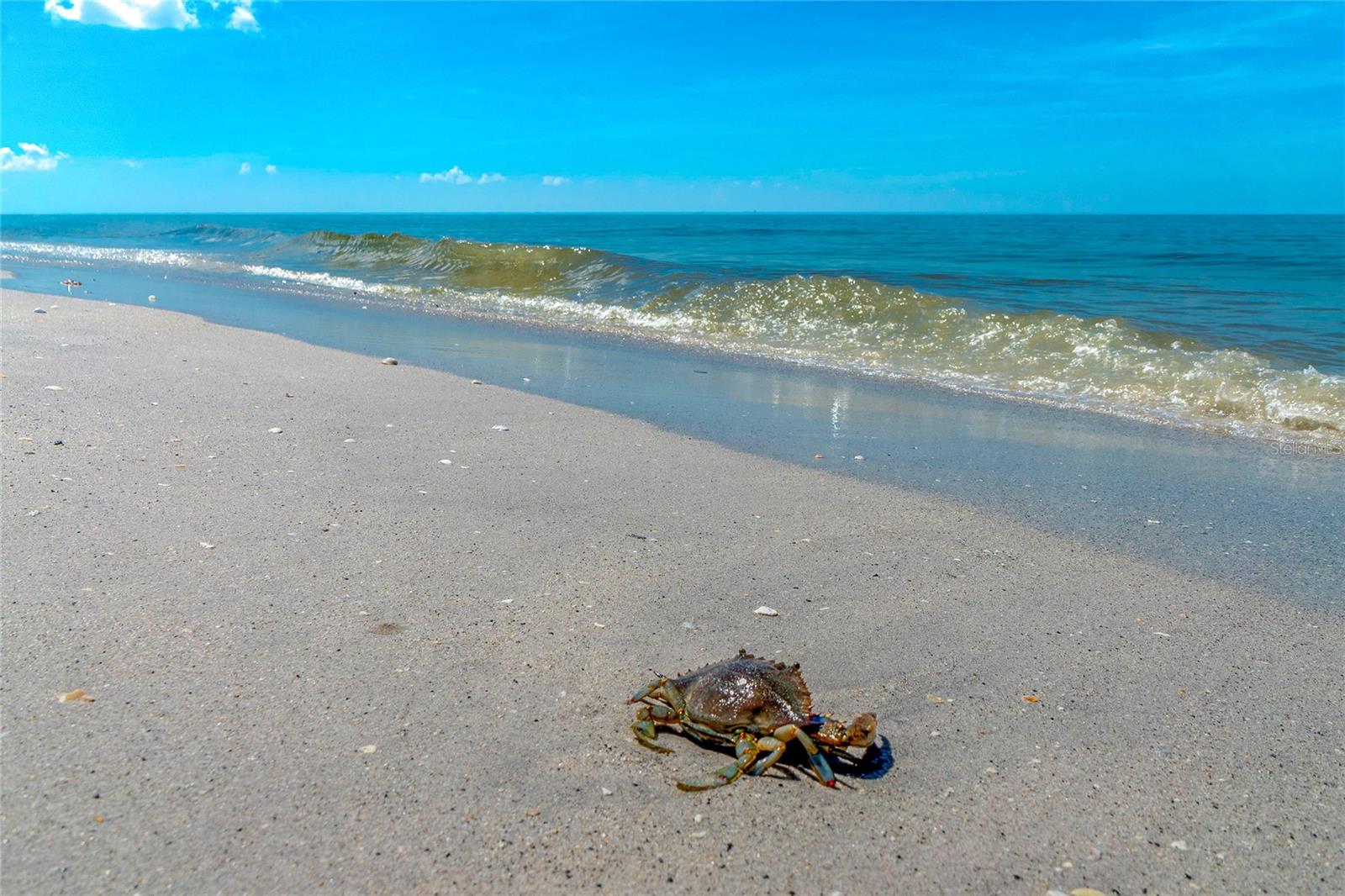 LEMON BAY ISLES PH 03 - Residential