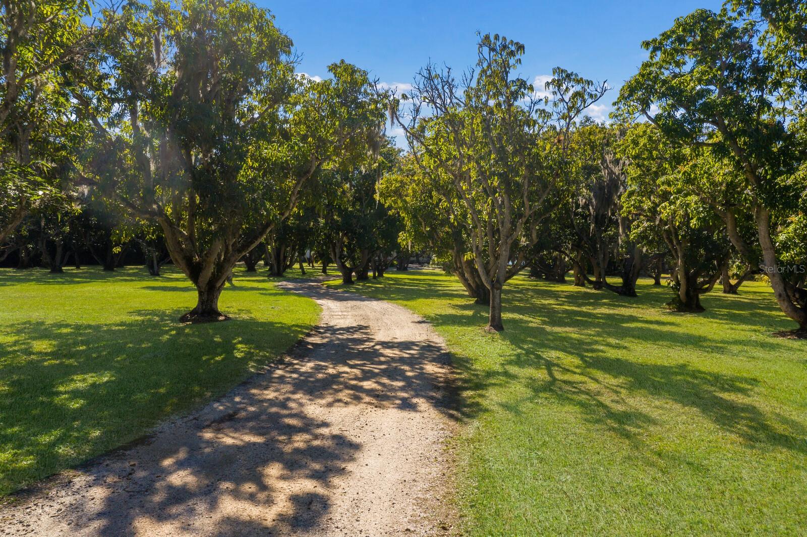 SEC 17 TOWNSHIP 34S RANGE 17E PT OF LT 1 - Residential