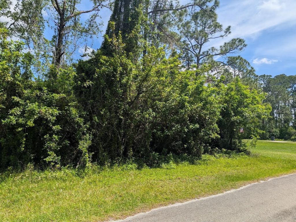 Photo of 204 Allamanda Drive, Indian Lake Estates, FL 33855 (MLS # P4938441)