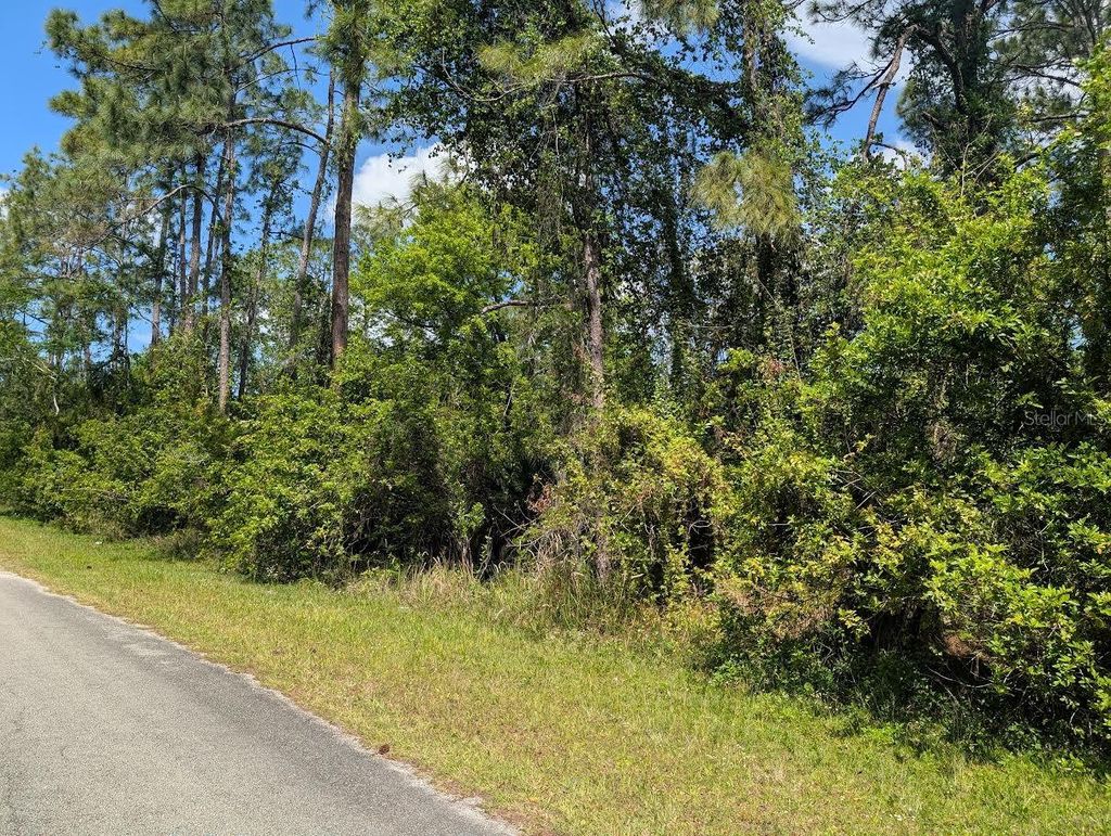 Photo of 204 Allamanda Drive, Indian Lake Estates, FL 33855 (MLS # P4938441)