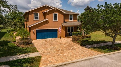 3831 EVERGREEN OAKS DRIVE LUTZ FL 33558