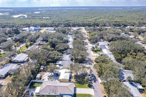 A home in NEW SMYRNA BEACH