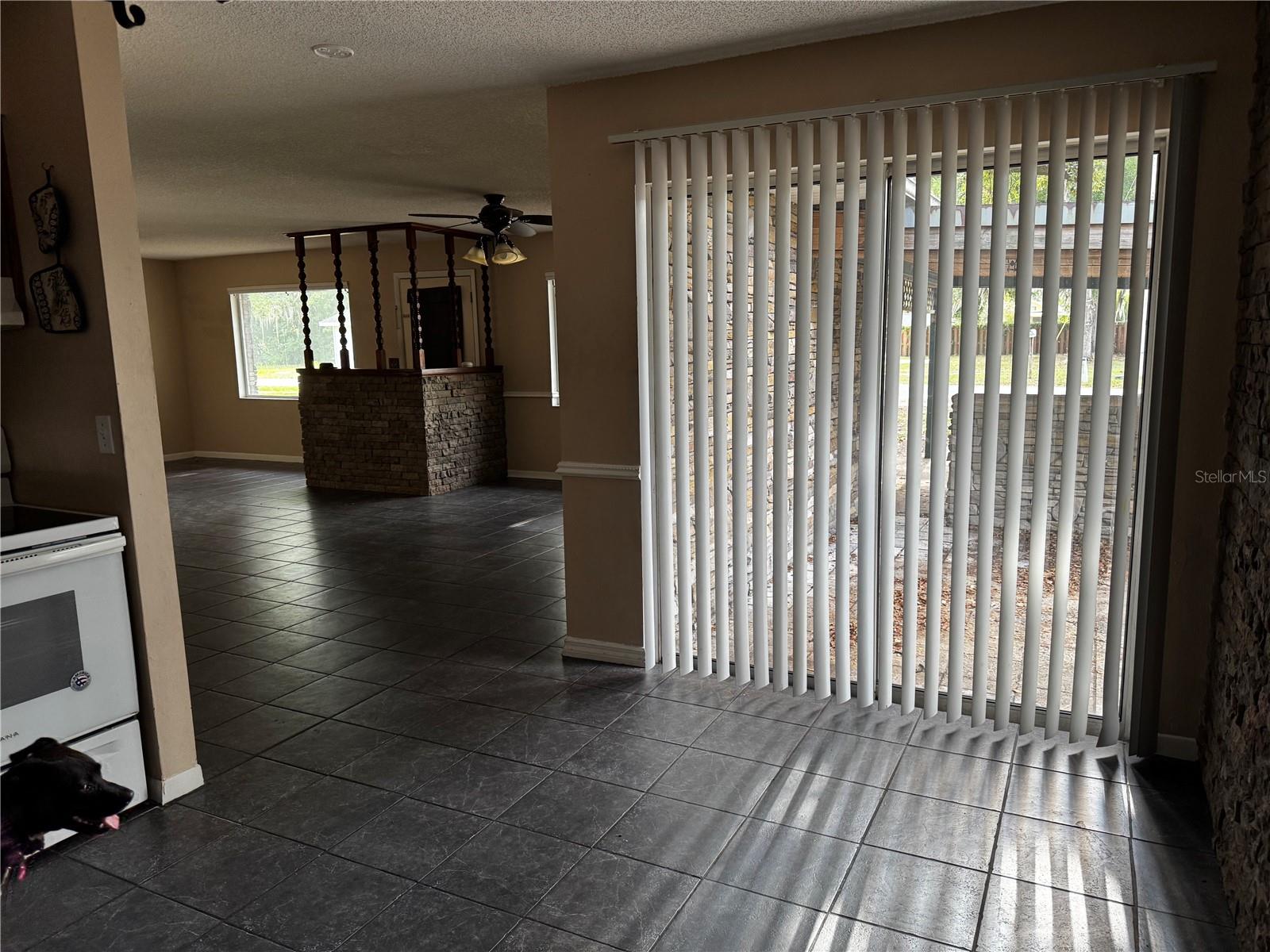 MOUNT DORA LAKE FRANKLIN PARK REV - Residential