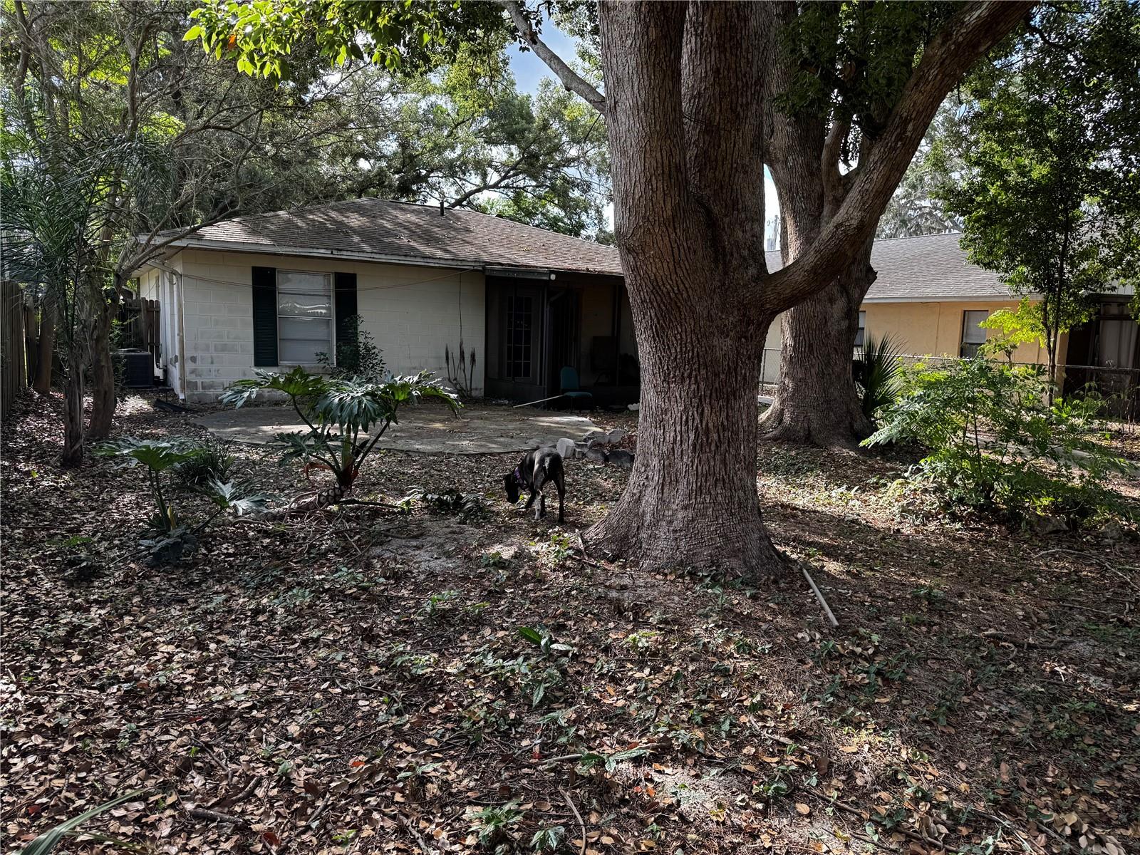 MOUNT DORA LAKE FRANKLIN PARK REV - Residential