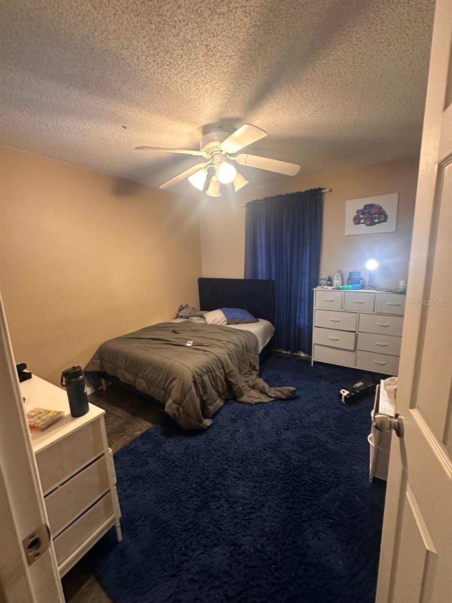 MOUNT DORA LAKE FRANKLIN PARK REV - Residential