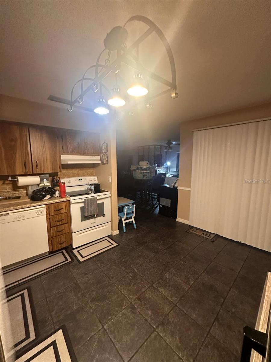 MOUNT DORA LAKE FRANKLIN PARK REV - Residential