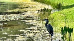 LAKEWOOD RANCH COUNTRY CLUB VILLAGE Q - Residential Lease