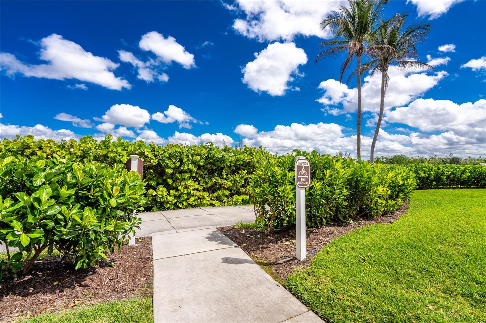 THE WATERFRONT ON VENICE ISLND - Residential