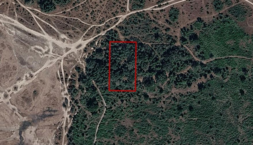 This 1.25-acre residential lot located in the Viking area of Okeechobee County. Zoned Residential Acreage with no HOA. Located in Flood Zone X- FEMA panel 12093C0145C. Enjoy privacy, space, and country living while still within driving distance to town. Buyer to verify utilities, zoning, and building requirements with the county.