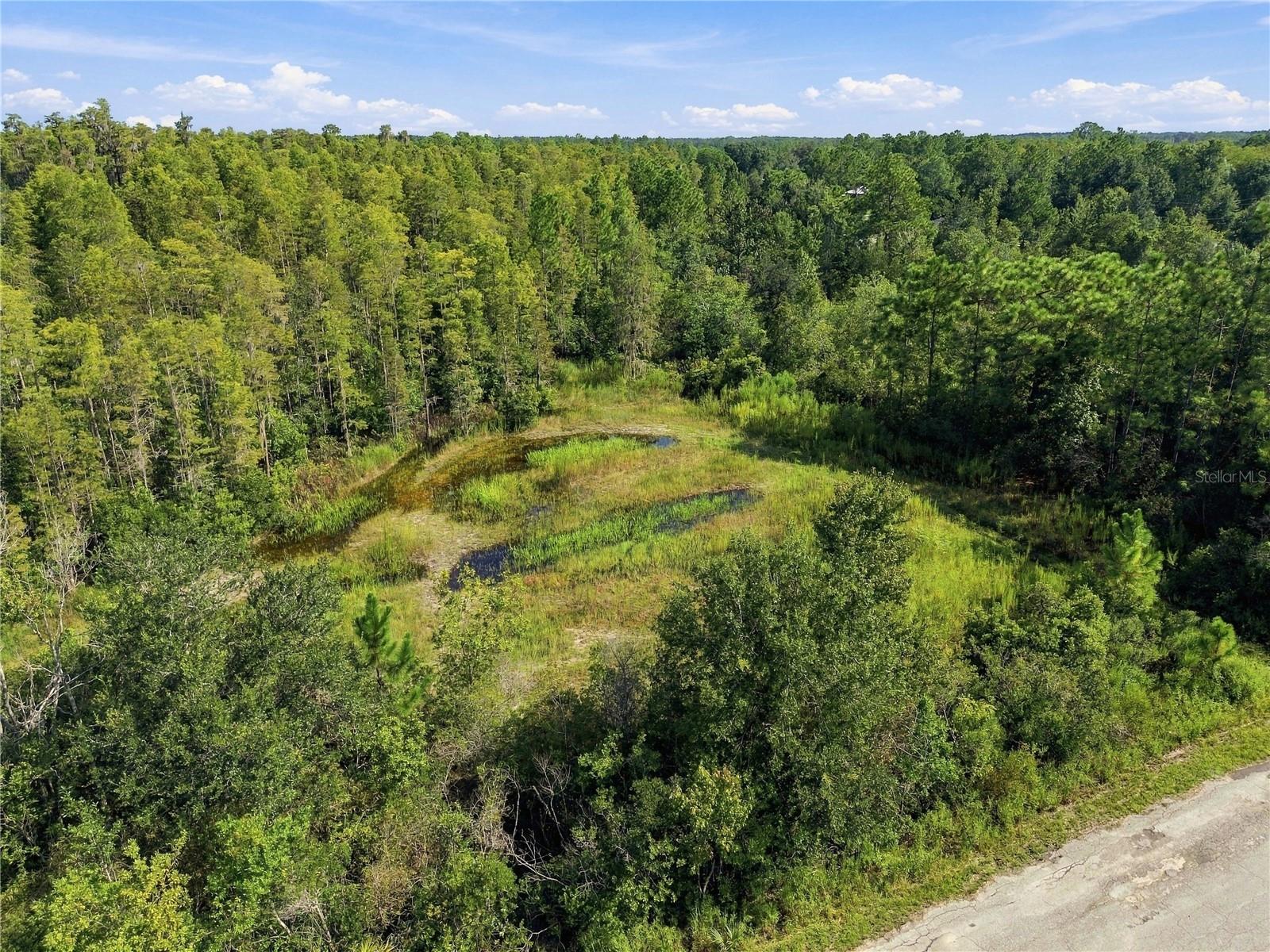 26633 PHEASANT RUN