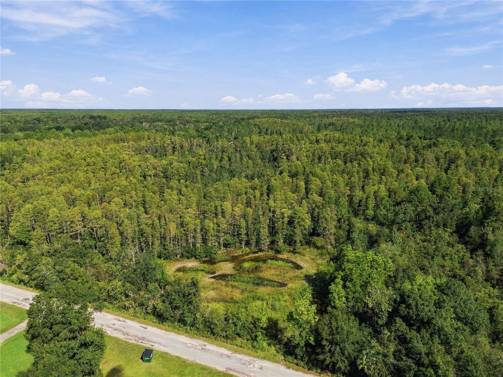 26633 PHEASANT RUN