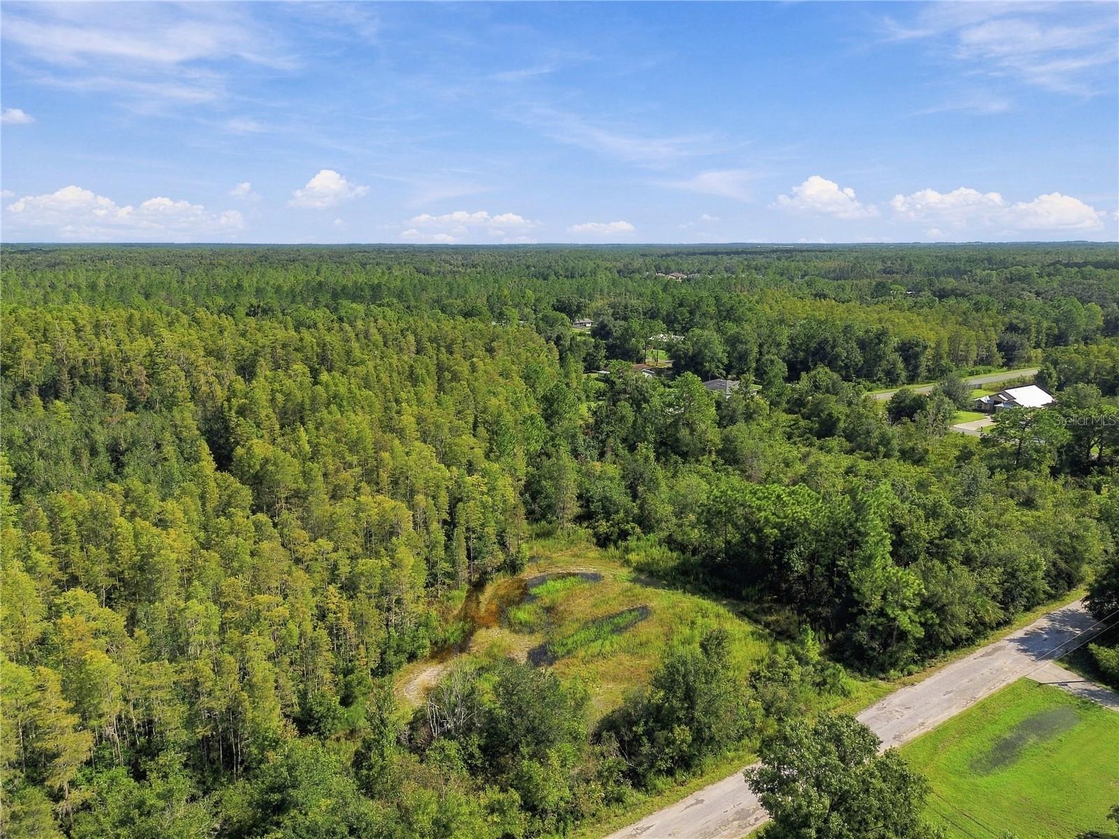 26633 PHEASANT RUN