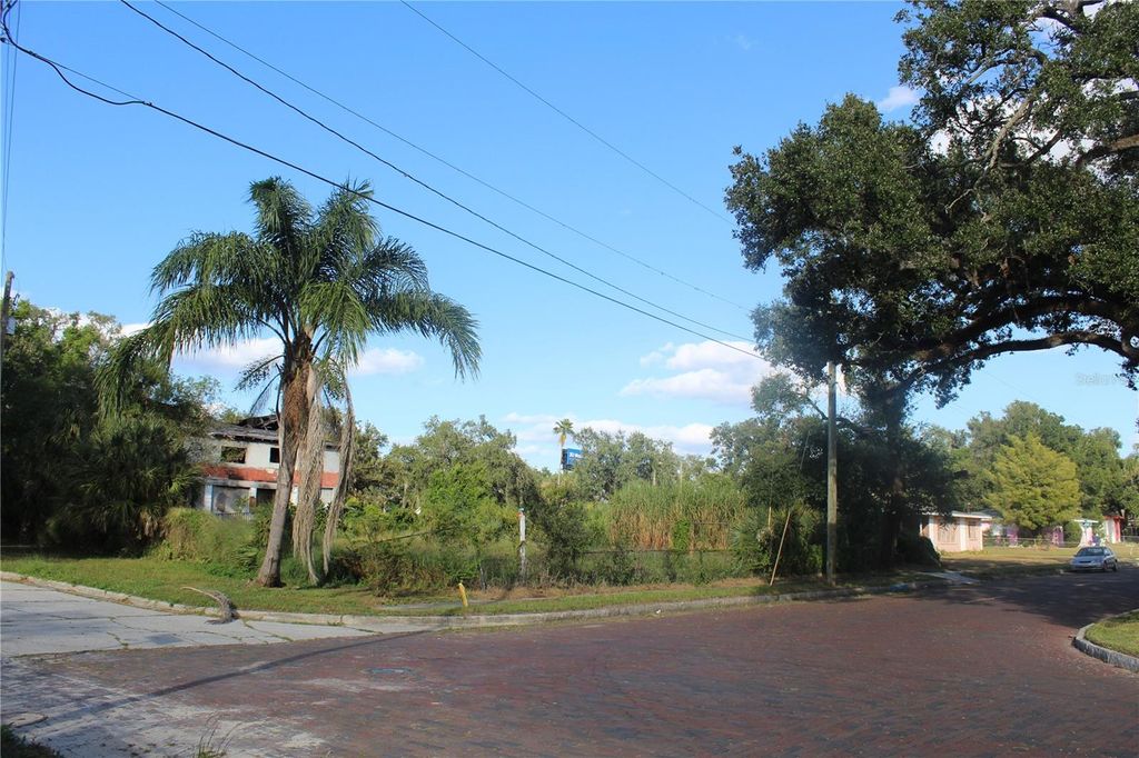 Photo of 414 E Emily Street, Tampa, FL 33603 (MLS # TB8441678)
