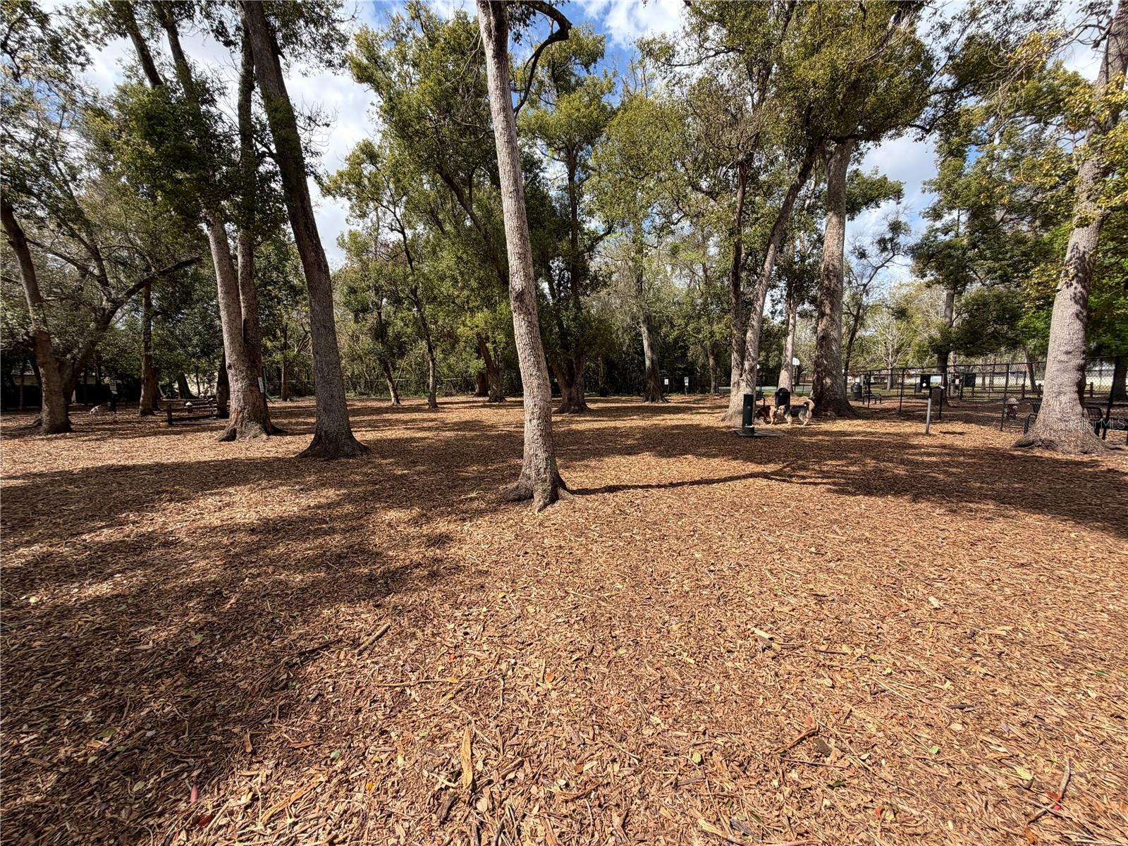 COLONIAL POINT - Residential