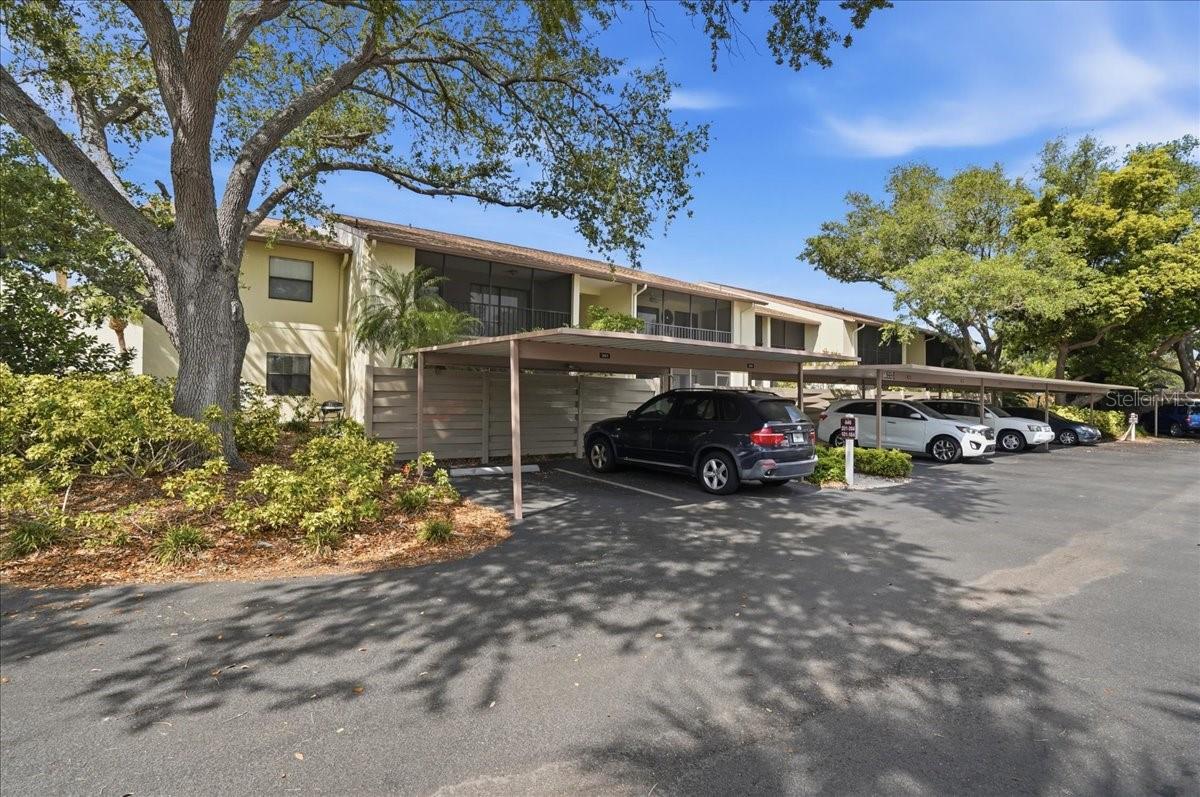 BIRD BAY V - Residential