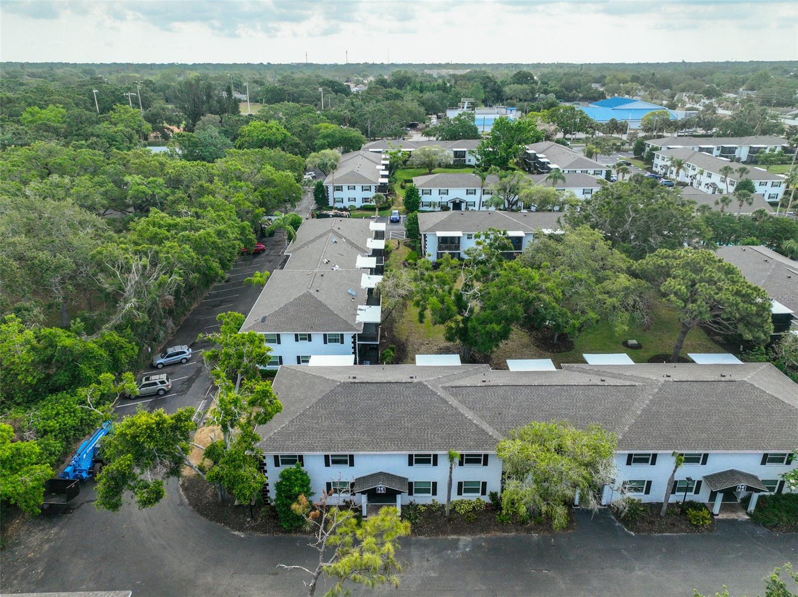 13125 WILCOX ROAD 16202