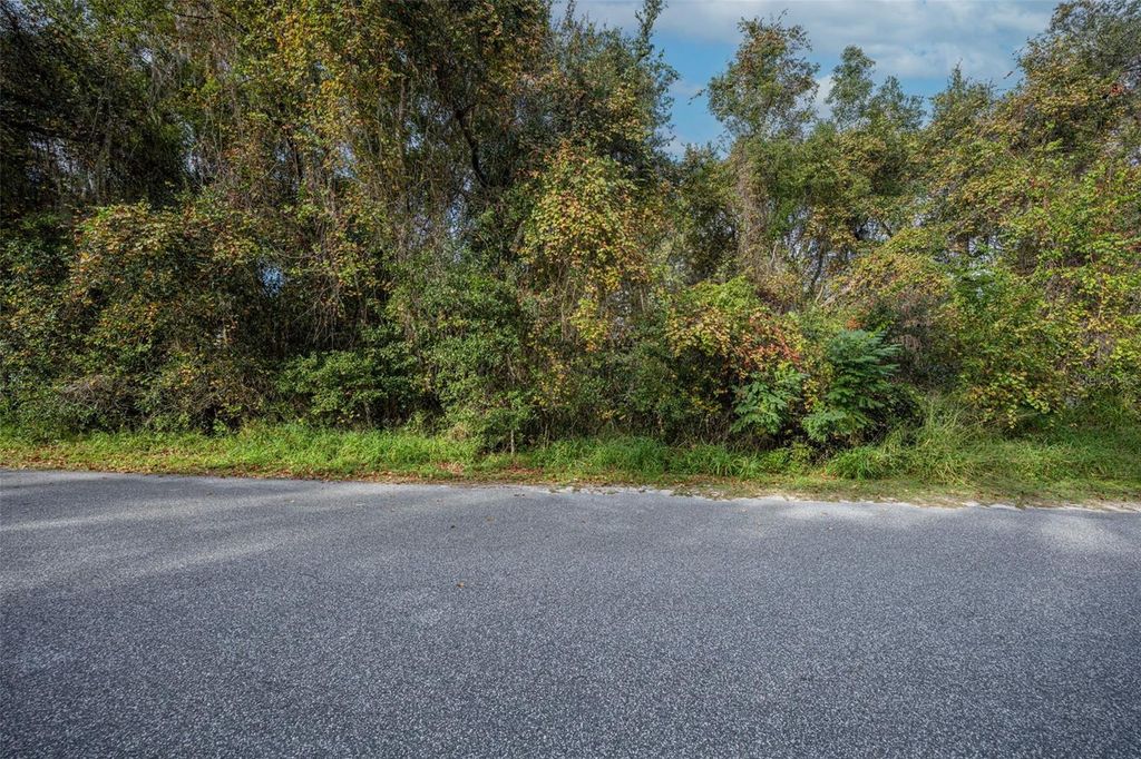 Photo of Royal Oak Road, Fruitland Park, FL 34731 (MLS # O6364939)