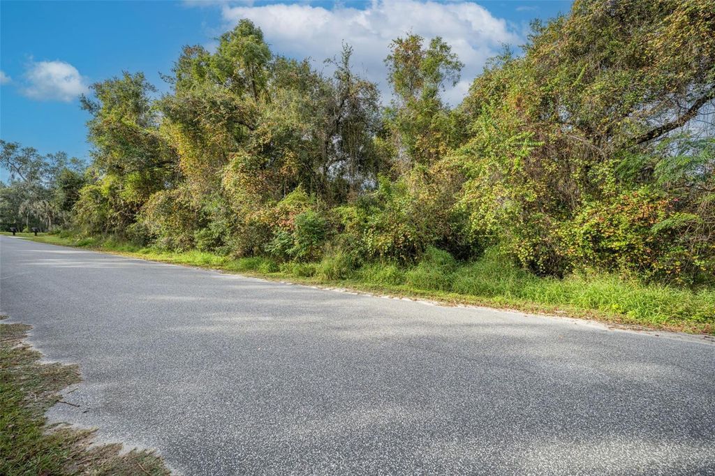 Photo of Royal Oak Road, Fruitland Park, FL 34731 (MLS # O6364939)