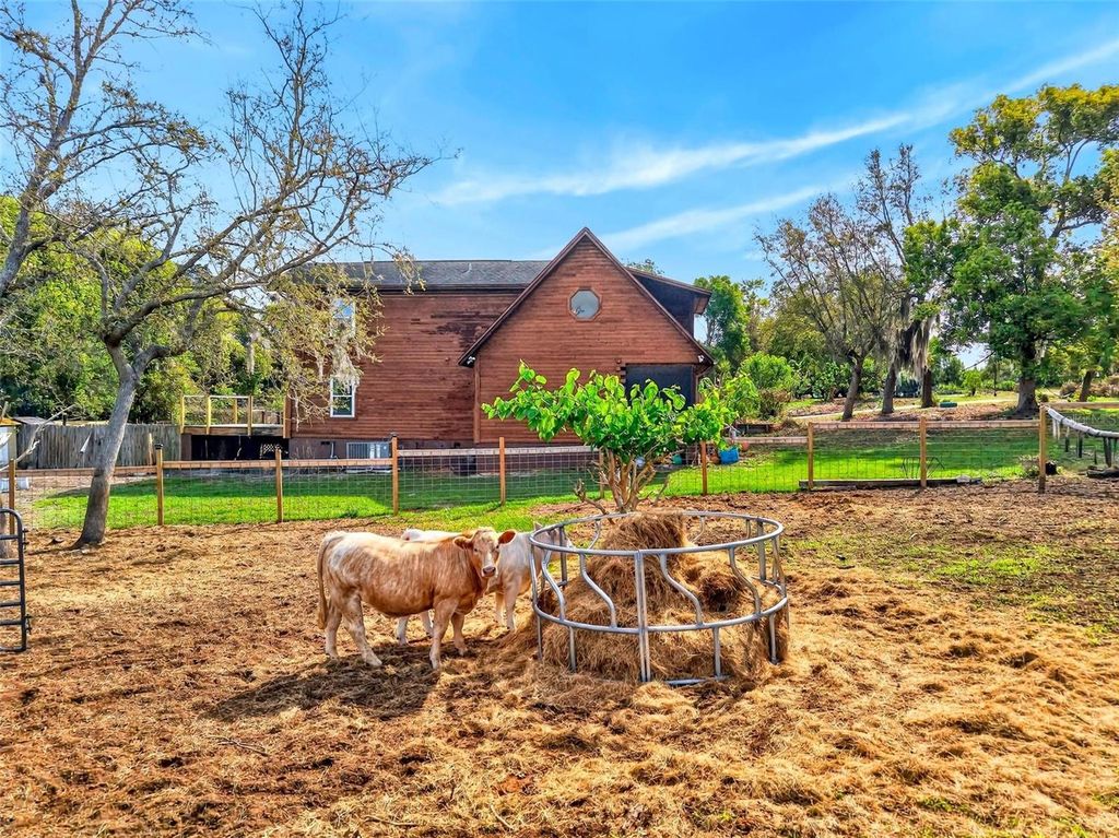 Photo of 150 Catalina Drive, Debary, FL 32713 (MLS # O6394728)