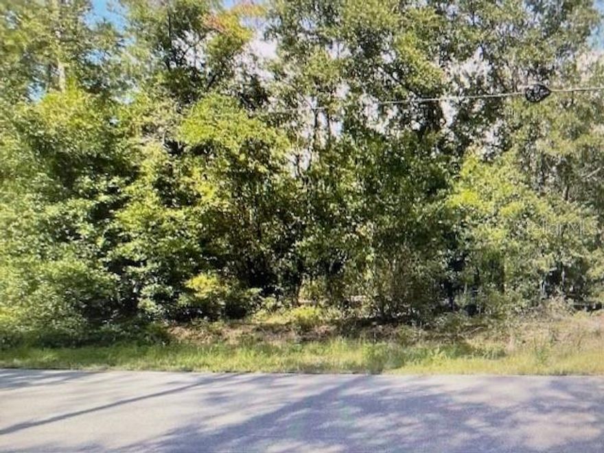 Beautiful .99 acre lot located in desirable Rainbow Lakes Estate. Build Your Dream Home in Rainbow Lakes Estates! This spacious .99 acre lot in Dunnellon’s sought-after Rainbow Lakes Estates is the perfect place to bring your vision to life.  No HOA fees!   Conveniently located just a short drive from downtown Dunnellon for shopping, dining, and medical care, as well as Ocala and the World Equestrian Center.  Bring your dream home plans today!