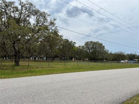 00 FRINGE TREE DRIVE SPRING HILL FL 34610