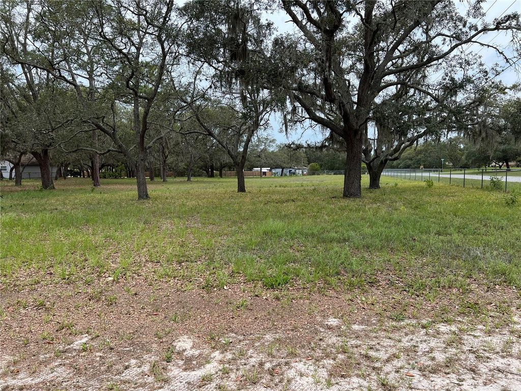 Photo of 00 Fringe Tree Drive, Spring Hill, FL 34610 (MLS # W7881263)