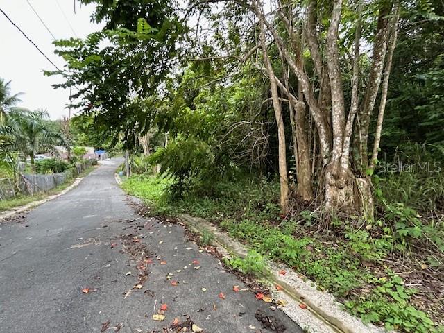 o. Candelaria Sector Campo Nuevo, Vega Alta. Road 647 km 8 int. Land #1 with a capacity of 3,963.08989m2 (42,658p2). 3.0 miles away from highway number 2, at the entrance to the Government Center. Enjoy the countryside! Buyer and / or agent must verify the property information.