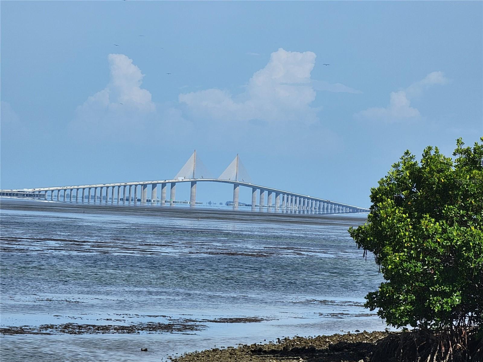 WANDER RESIDENCES OF TIERRA VERDE - Residential Lease