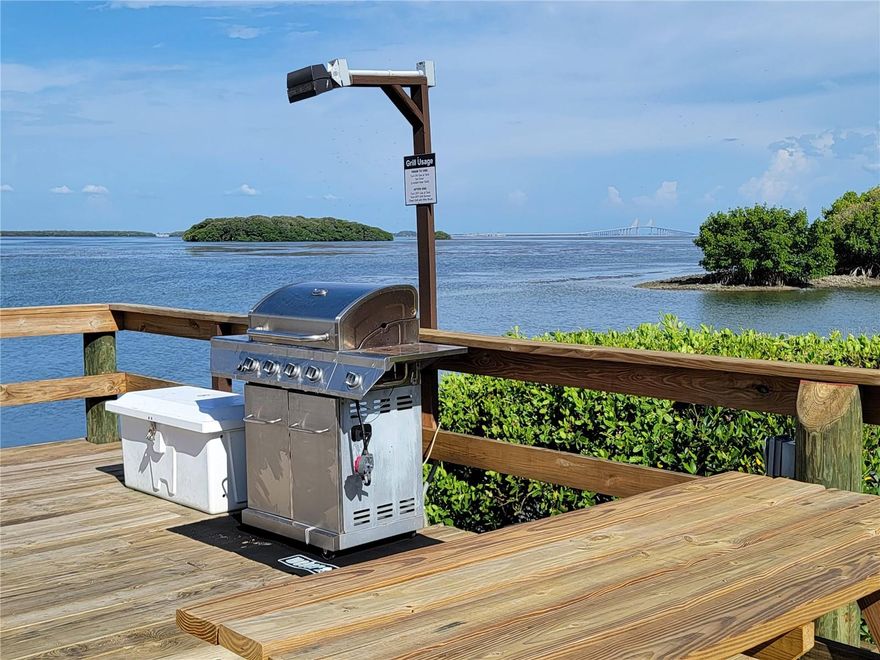 This is available now. No Hurricane damage. Welcome to Holiday Isle on Tierra Verde! Here you will find the utmost tranquil spot on the west coast of Florida. The grounds are kept impeccable and the views of Tampa bay are endless. This 2 bed 2 bath upstairs corner unit has it all. Newer kitchen and updated throughout. Washer/Dryer inside the unit. Fully furnished and equipped with all you need for your stay. There is a covered balcony over looking the beautifully maintained grounds. The club house, pool, jacuzzi, bbq grills and docks are located steps away from your unit. Not to far away to explore downtown Tierra Verde. Some of the best restaurants are just down the road. Ft Desoto has so much, Kayaking, Paddle boarding, wind surfing, beautiful beaches and picnic areas galore. Bike paths are all over the area, You can also catch the ferry to Eggmont Key from the Ft Desoto pier.  Sorry no pets or smoking. Call with your dates, rates do vary with the season.