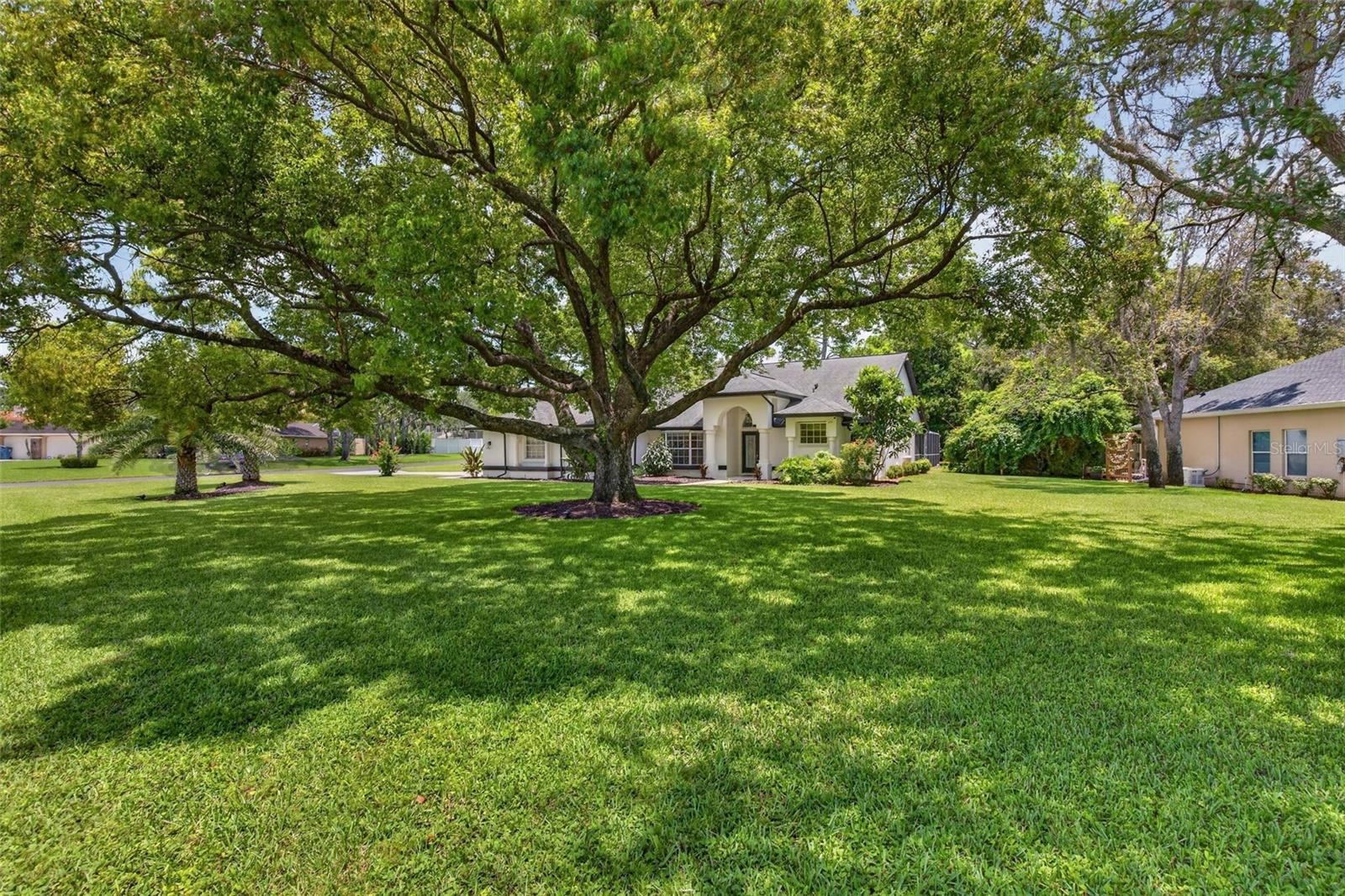 4334 DOTTIE COURT