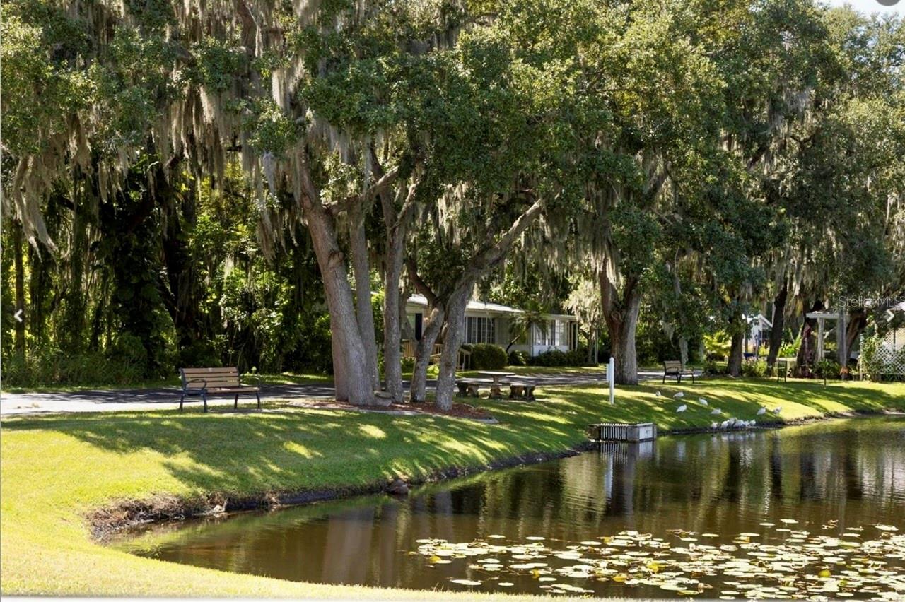 TERRA SIESTA MH CO OP - Residential