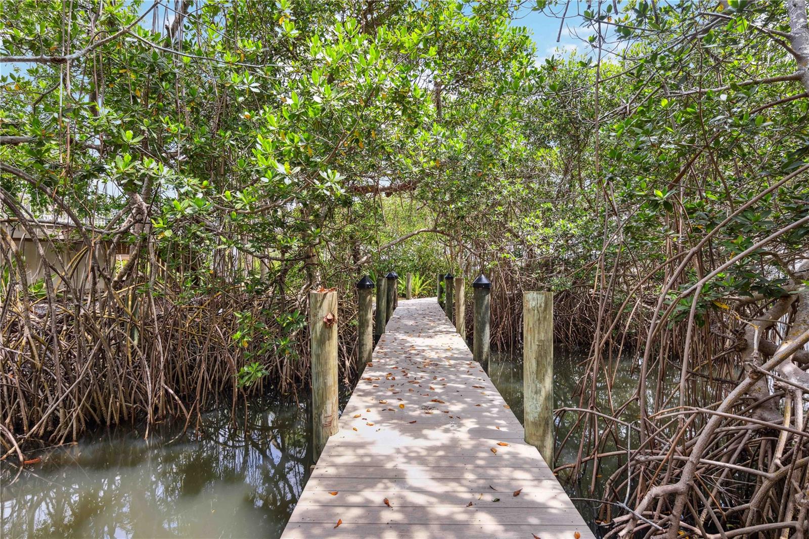 LONGBOAT ARMS - Residential