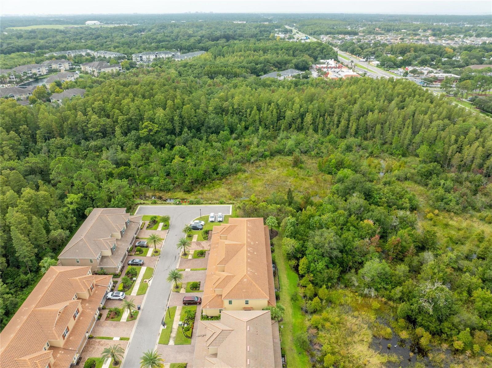 Photo 13 of 100 of 12304 TERRACINA CHASE COURT townhome