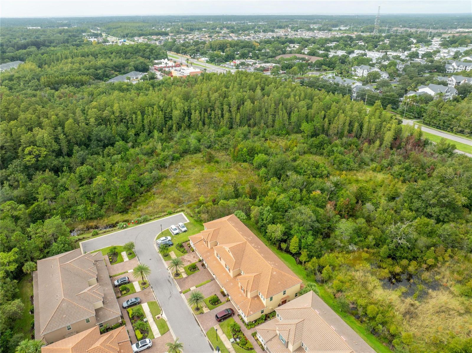 Photo 11 of 100 of 12304 TERRACINA CHASE COURT townhome