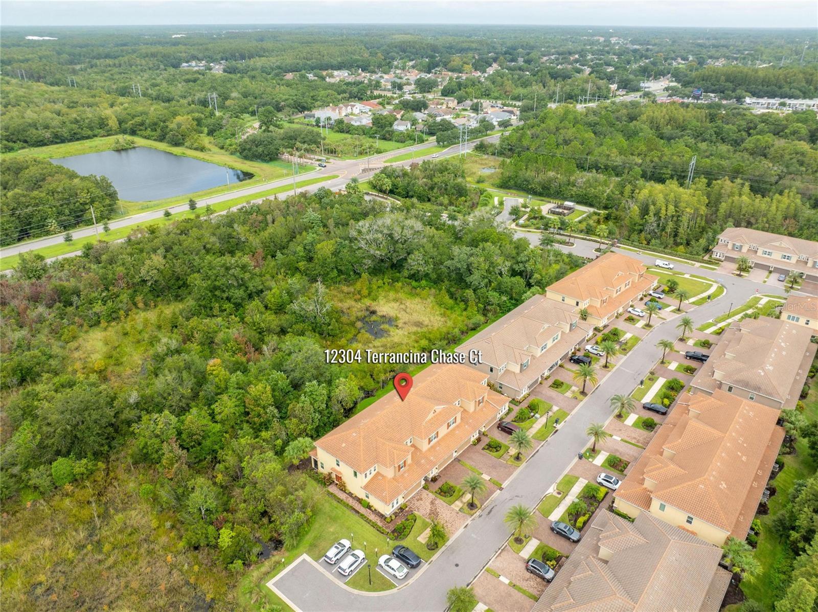 Photo 38 of 100 of 12304 TERRACINA CHASE COURT townhome