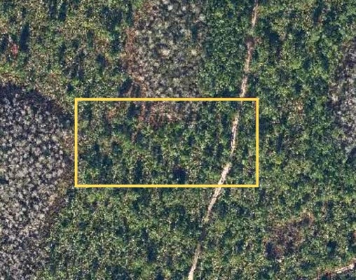 DILL RD, ORLANDO, FL 32820 - Image 232b31d58a18436dc9db41a14e7ad5ee/2077899198