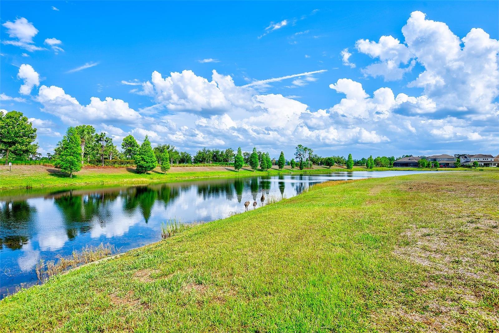 WATERSET PH 2C3-3 / 2C3-4 - Residential