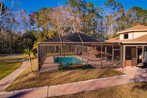 A home in LAND O LAKES